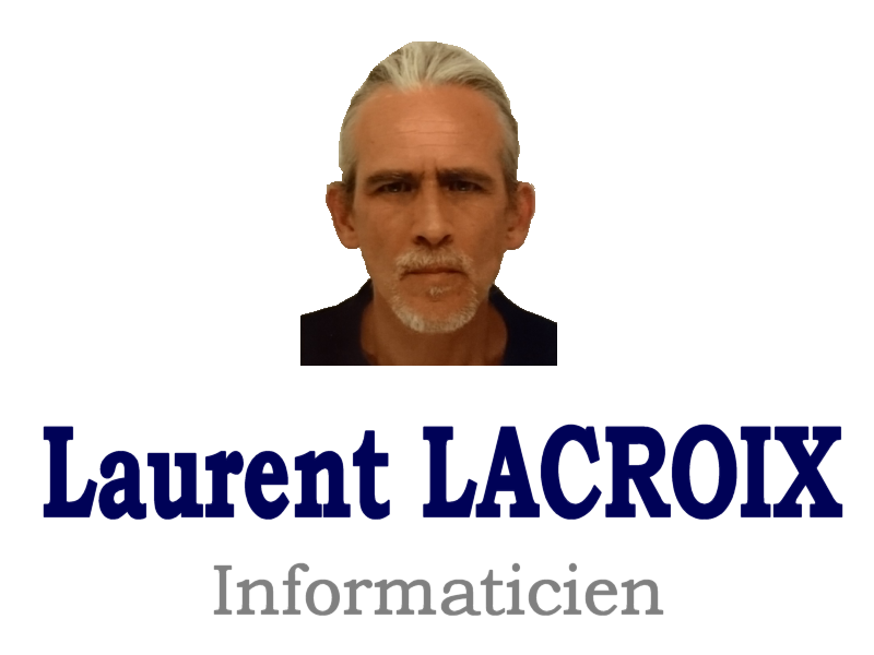 Laurent Lacroix, Informaticien, Fontainebleau
